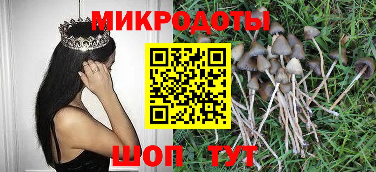 Галлюциногенные грибы MAGIC MUSHROOMS Щёлково